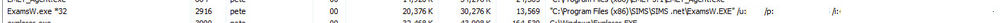 SIMSPasswordDisclosure.png