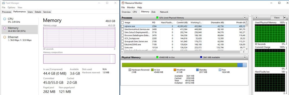 SIMS RAM memory.JPG