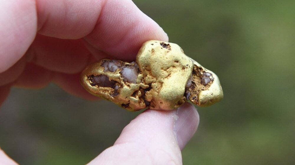 Scottish Gold.jpg