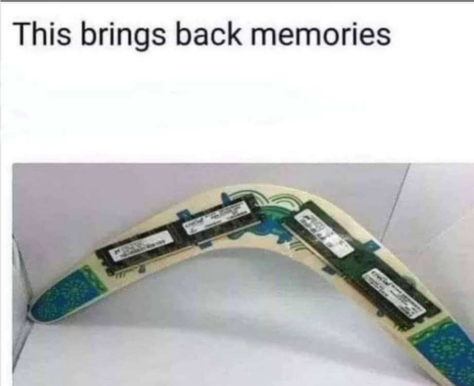 Screenshot 2022-06-10 at 10-10-01 49 Hilarious Memory Puns - Punstoppable 🛑.png