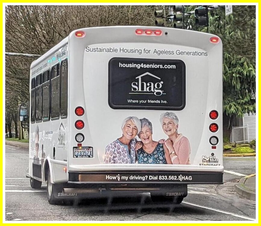 Shag Bus.jpeg