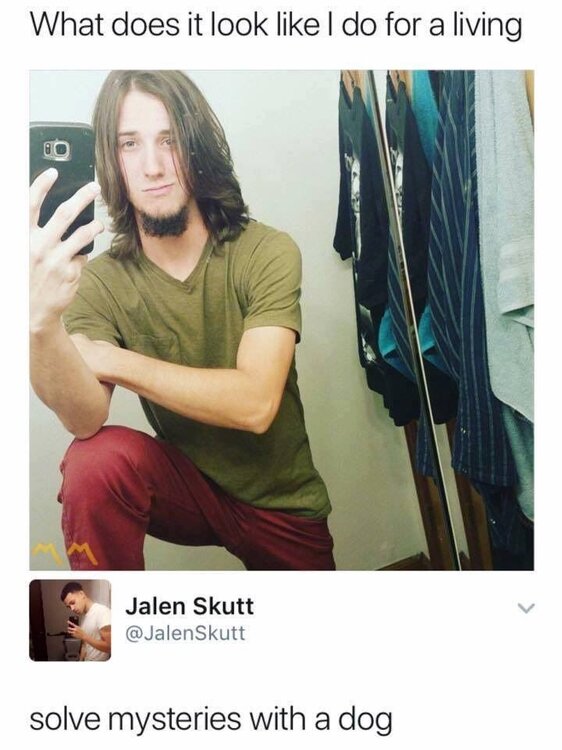 Shaggy.jpg