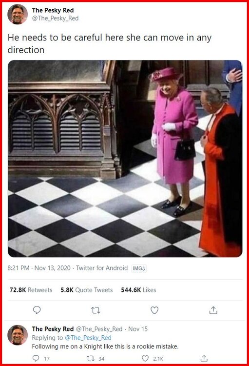 She Can Move In Any Direction.jpg