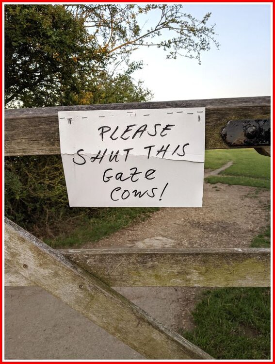 Shut The Gate!.jpg