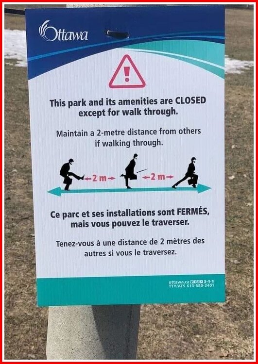 Silly Park Walk.jpg