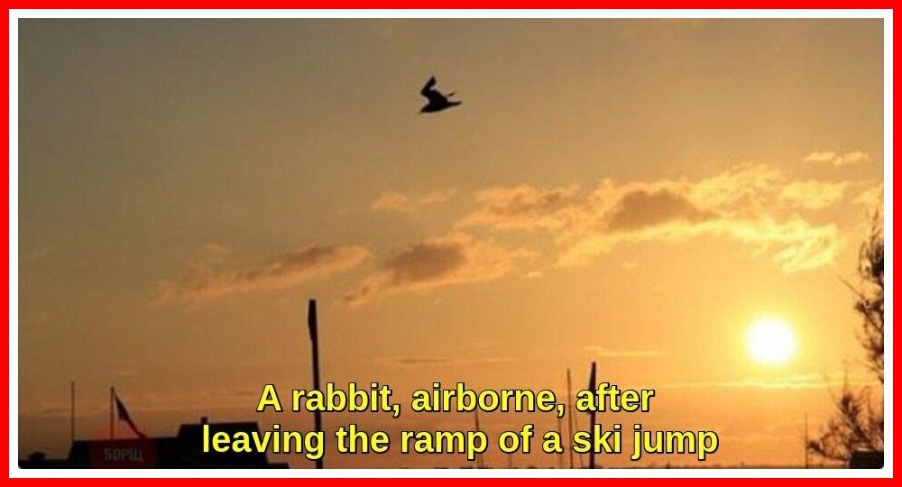 Ski Jumping Rabbit.jpeg
