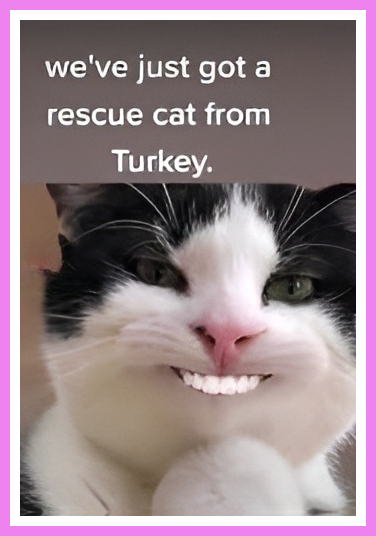Smiley.png.221539b2f438d08ea0b36ae7cbdc3a93.png