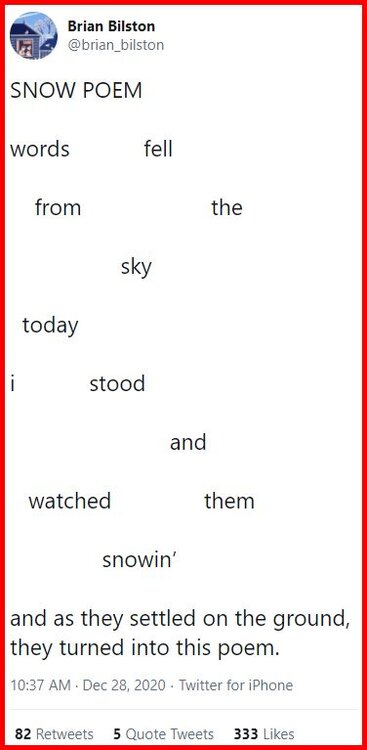 Snow Poem, Brian Bilston 28.12.2020.jpg