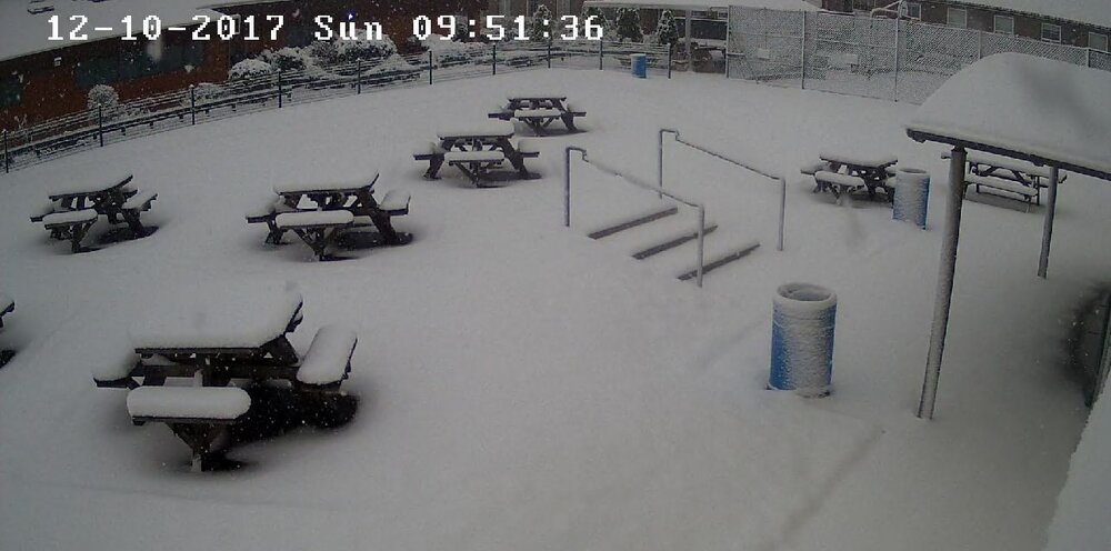 Snowy Sunday Morning.jpg