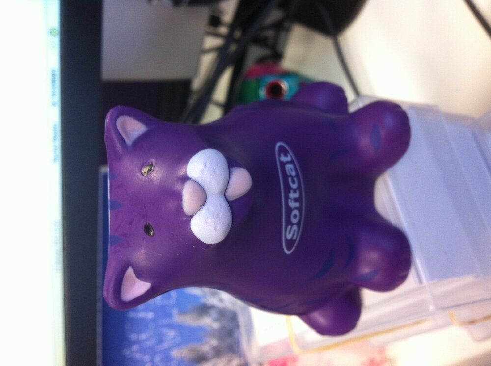 Softcat Cat 2013.jpg