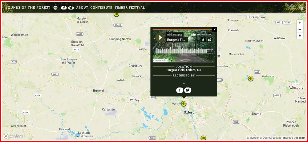 Sounds of the Forest - Burgess Field, Oxford.jpg