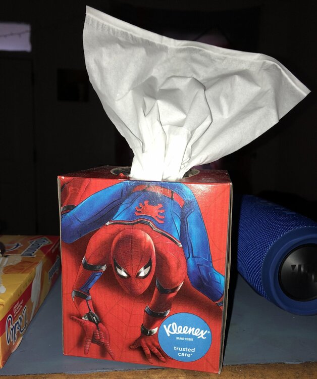 Spider Tissues.jpg