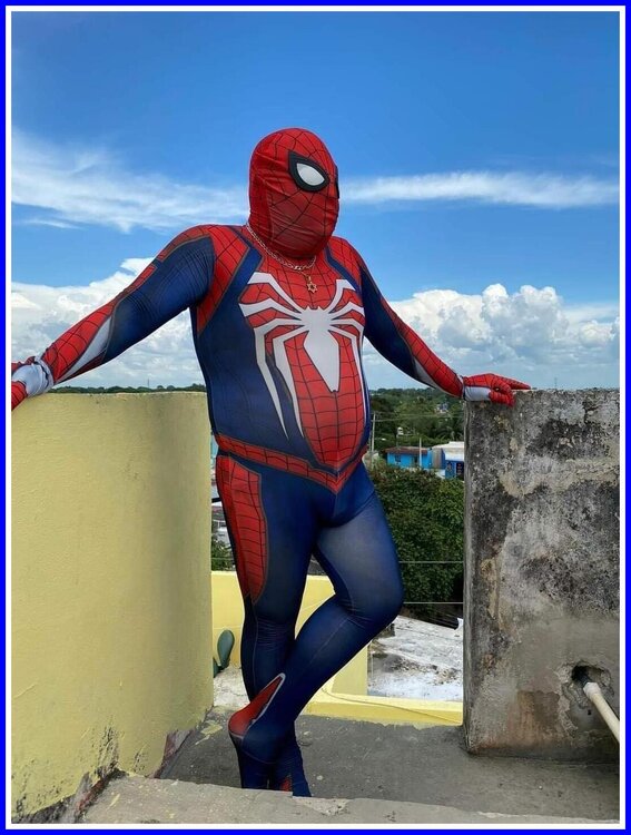 Spiderman - Work From Home.jpeg