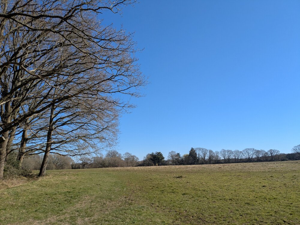 Spring!.jpg