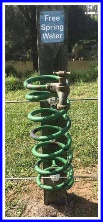 Spring Water.jpeg
