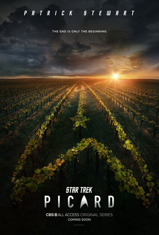 Star Trek Picard.jpg