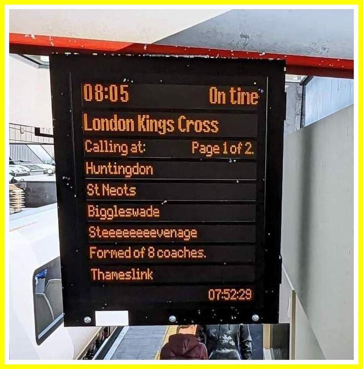 Steeeeeeeevenage.jpeg