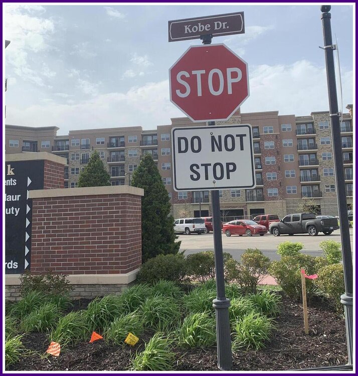Stop Do Not Stop.jpeg