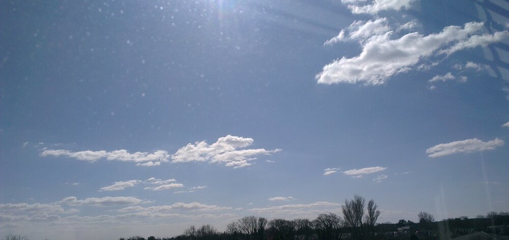 Sunshine.jpg