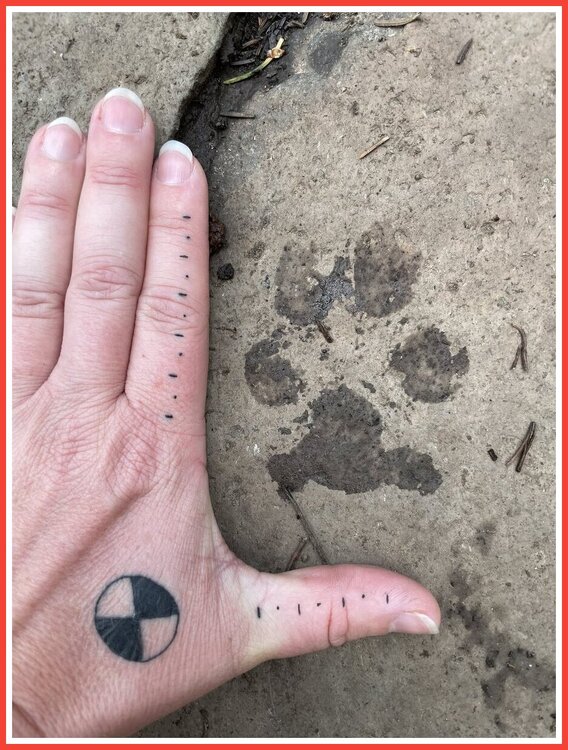 Tattoo 1.jpeg