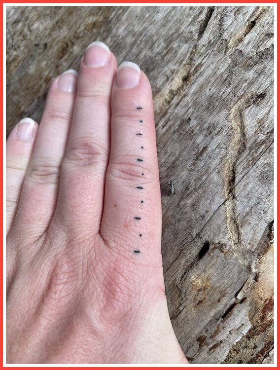 Tattoo 4.jpeg