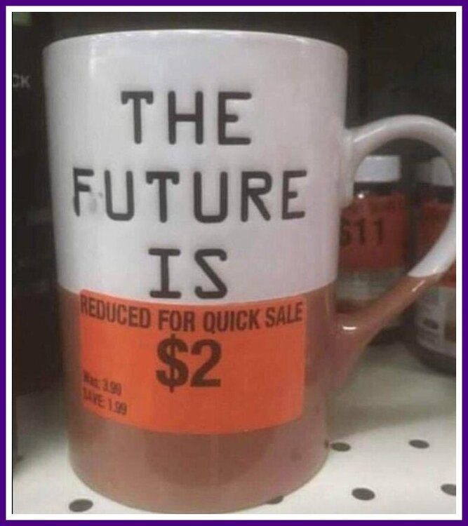 The Future Is Bleak.jpeg