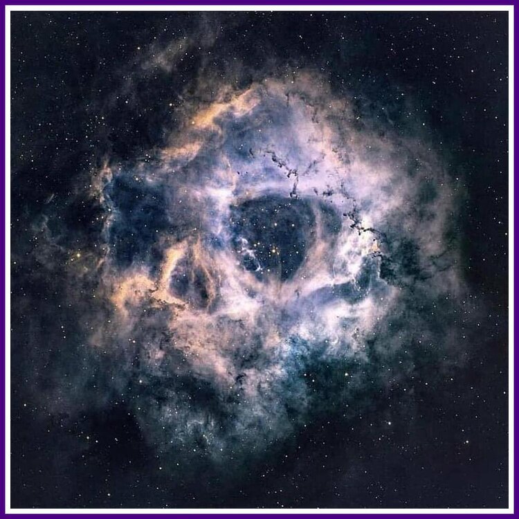 The Rosette Nebula.JPEG