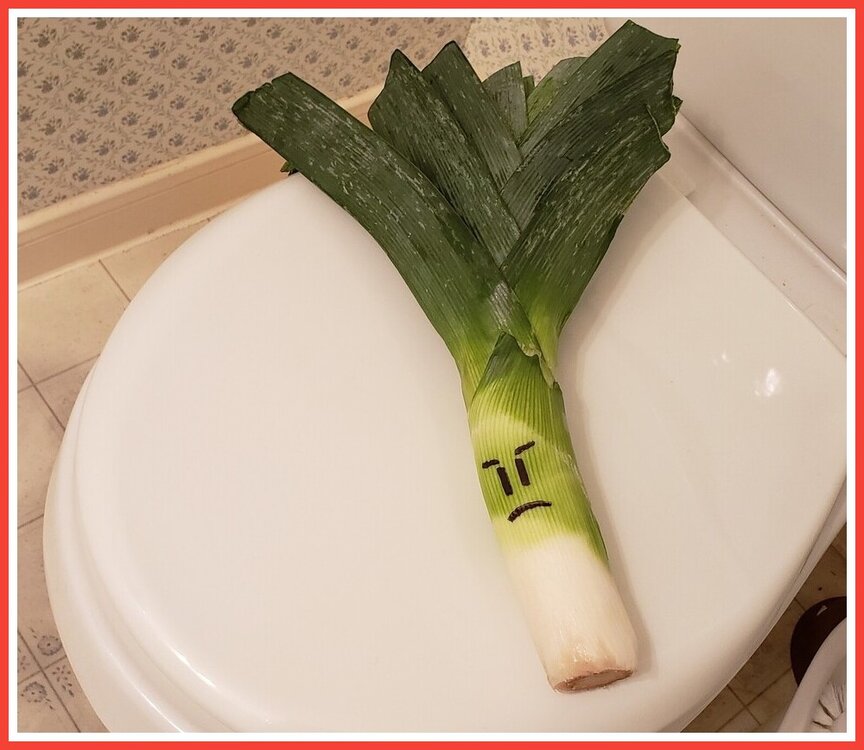 There's A Serious Leek In The Toilet.jpeg