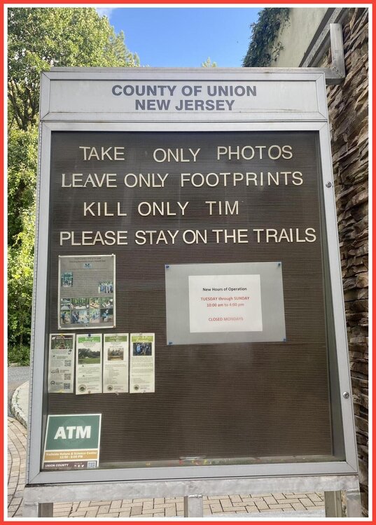 Tim.jpeg