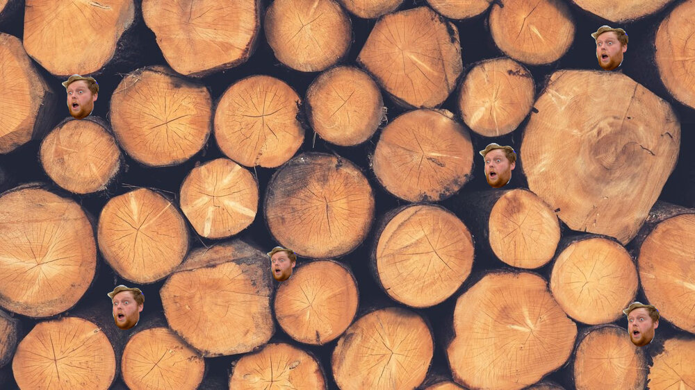 Timber.jpg