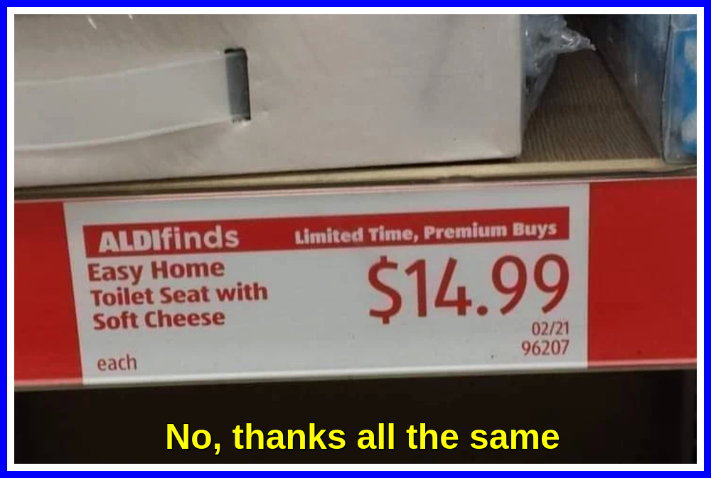 Toilet Seat With Soft Cheese.png