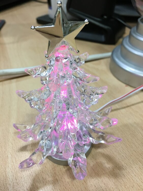 Tree.jpg