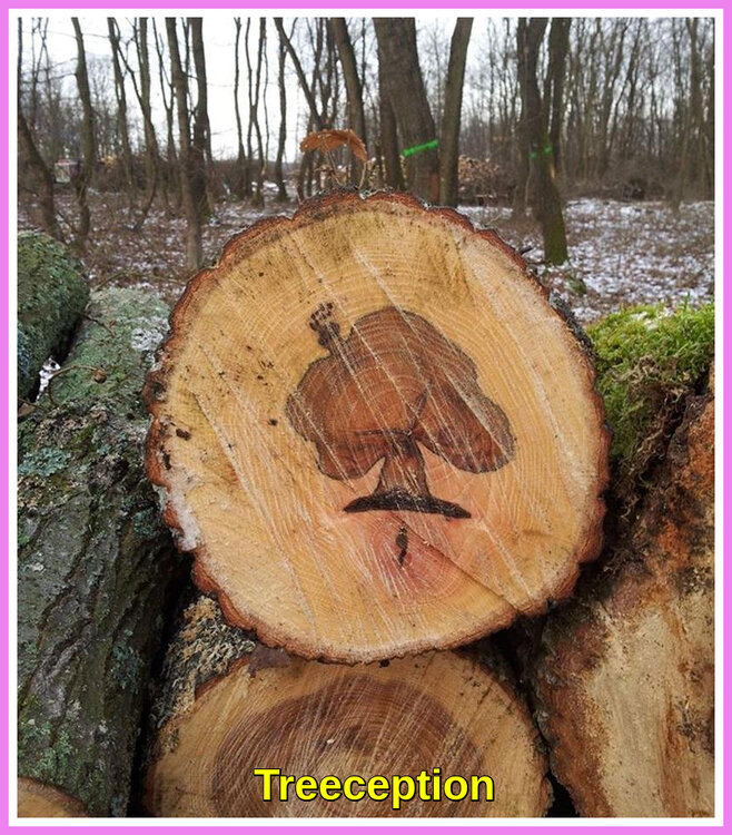 Treeception.jpeg