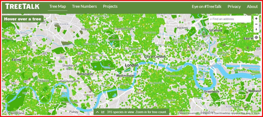 Trees Of London 1.jpg