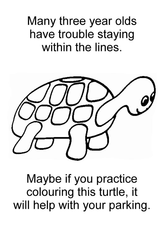 Turtle.jpg