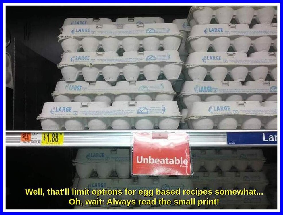 Unbeatable Eggs.jpeg