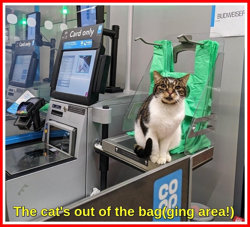 Unexpected item.jpeg