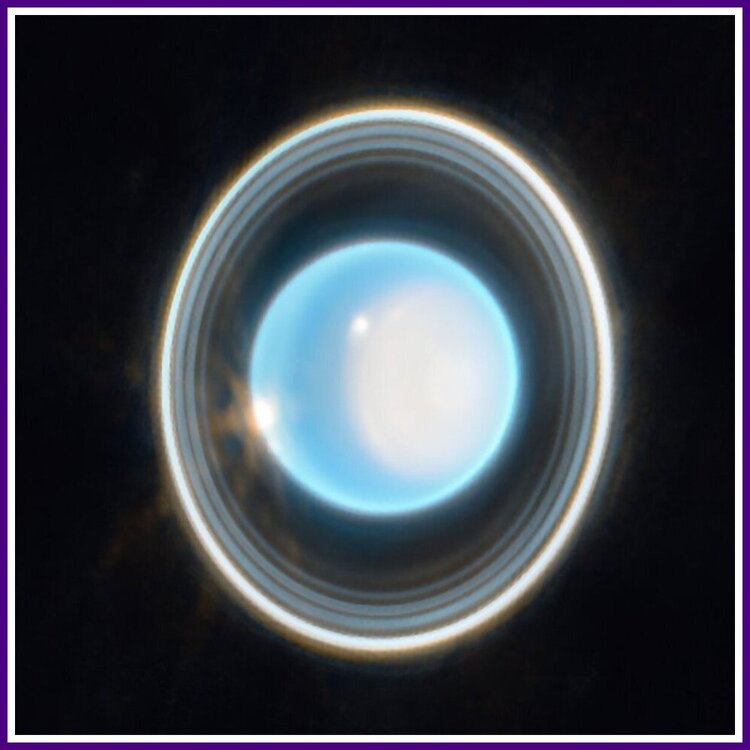 Uranus And Rings Via James Webb Space Telescope.jpeg