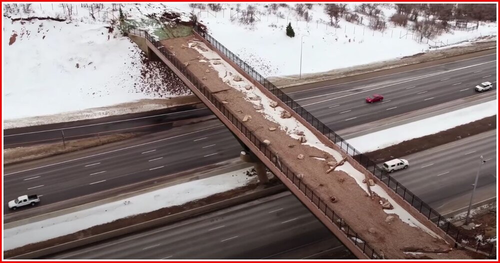 Utah Wildlife Overpass.jpg