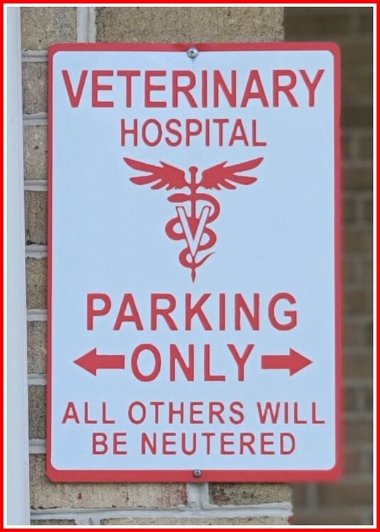 Vet Parking.jpg