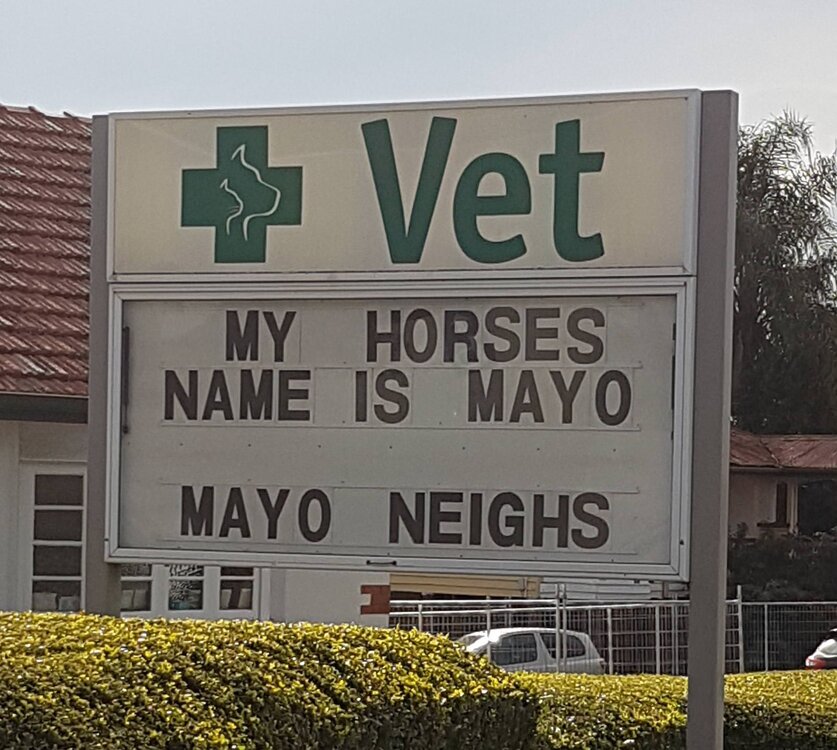 Vet Sign.jpg