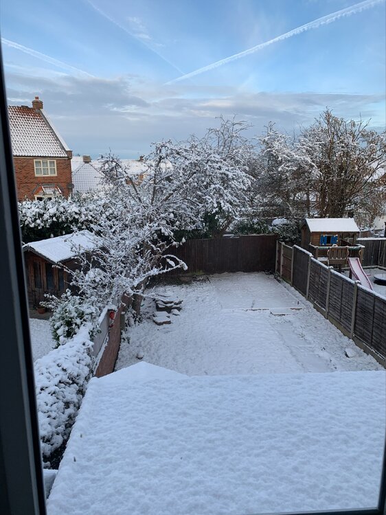 WFH SnowDay.jpg