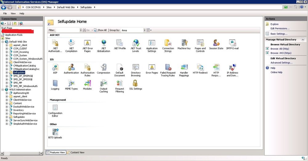 WSUS.JPG