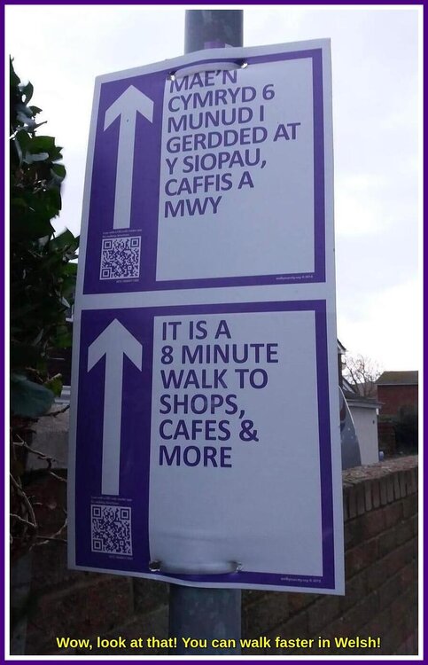 Walk Faster In Welsh.jpeg