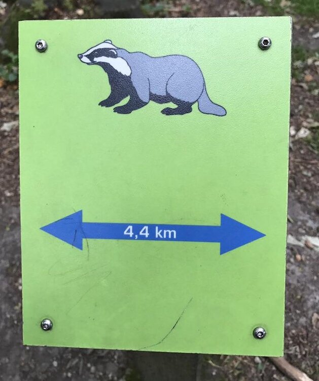 Warning! Huge Badgers.jpg