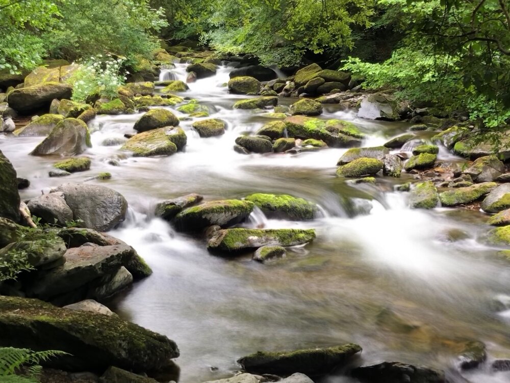 Watersmeet.jpg