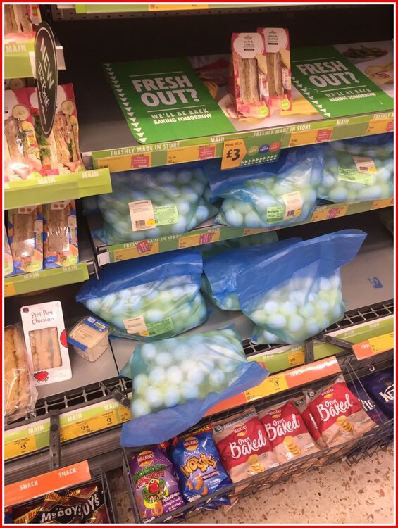 Wet Eggs For Sale 1.jpg