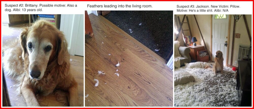 What Happened 2.jpg
