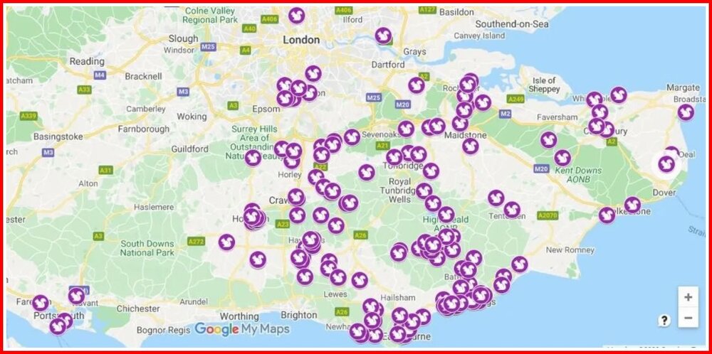 White Squirrel Map.jpg