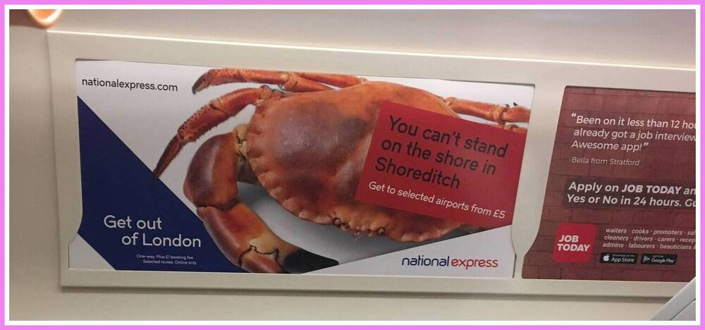 Why So Crabby.jpeg